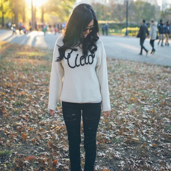 Wildfox Sweaters - 🌟HOST PICK🌟 Wildfox Ciao Bella Knit Sweater